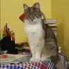 Отзыв от Екатерина Фокина